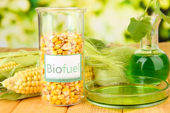 Bolberry biofuel availability